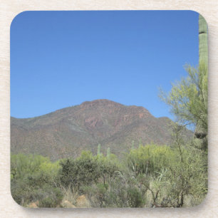 Scenic Apache Trail Coaster