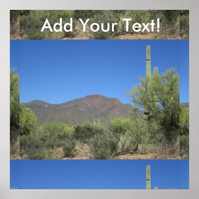 Scenic Apache Trail Poster (Front)