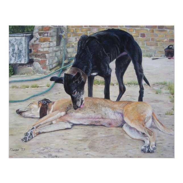 scenic art picture of grayhound dogs in a yard poster (Front)