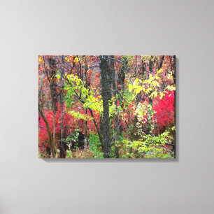 Scenic Autumn Landscape Photo Wrapped Canvas