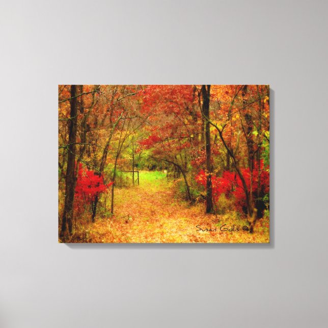 Scenic Autumn Path in Fores Stretched Canvas Print (Front)