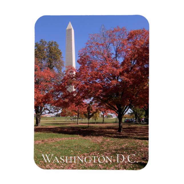 Scenic Autumn Washington D.C. Souvenir  Magnet (Vertical)