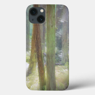 Scenic Beach State Park iPhone 13 Case