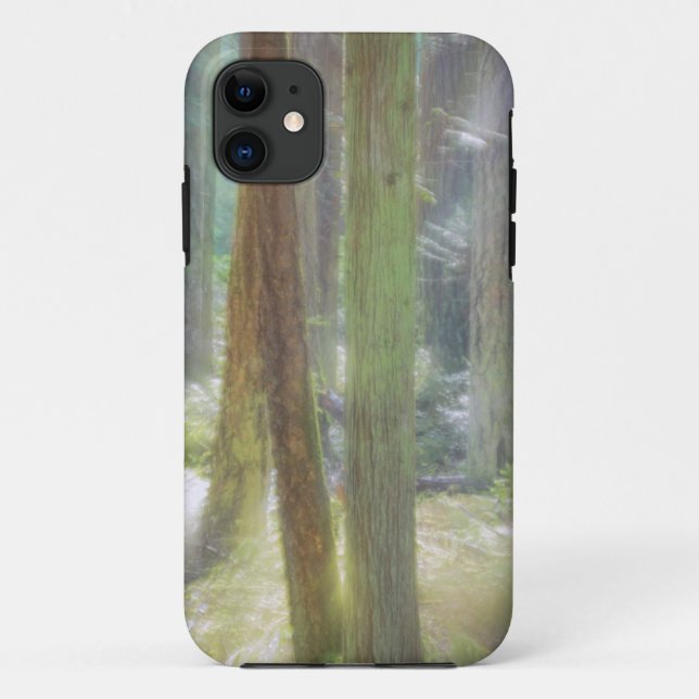 Scenic Beach State Park Case-Mate iPhone Case (Back)