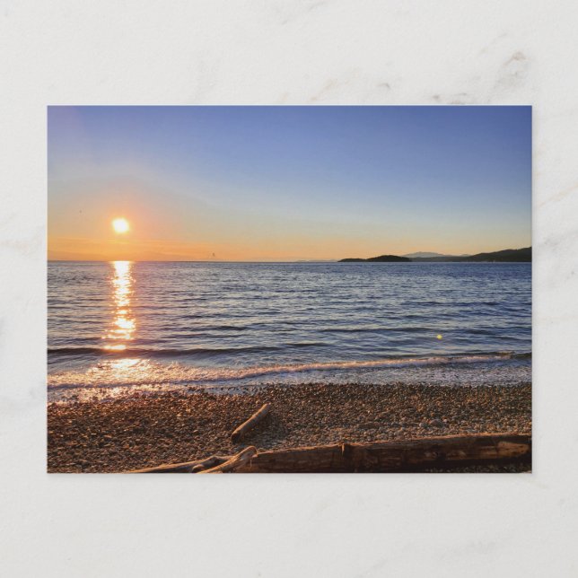 Scenic Beach Sunset Photo  Postcard (Front)