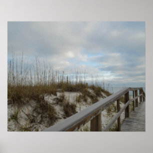 Scenic Boardwalk Florida Beach Nature Photography Poster