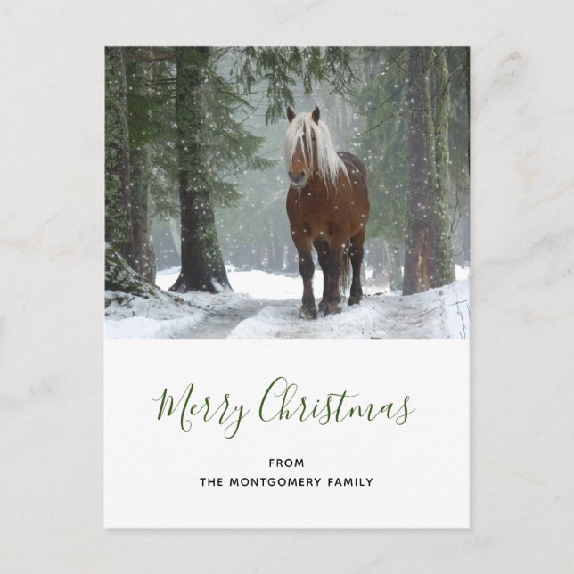 Scenic Brown Horse in a Winter Forest Christmas Holiday Postcard (Front)