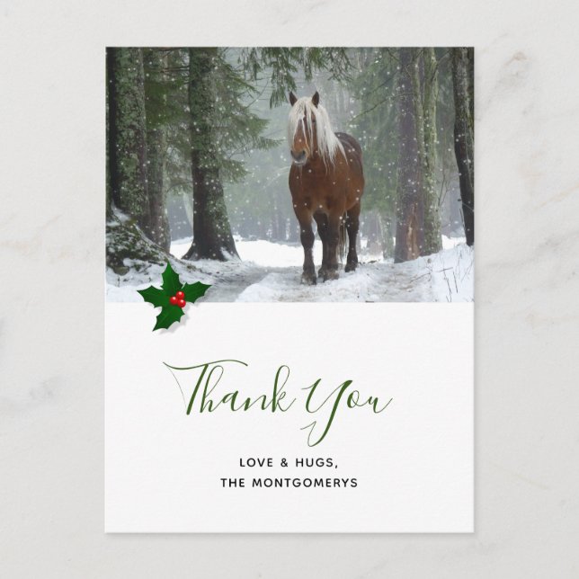 Scenic Brown Horse in Winter Christmas Thank You Postcard (Front)