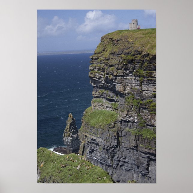 Scenic Cliffs of Moher and O'Brien's Tower Poster (Front)