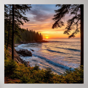 Scenic Coastal Sunset View With Tree-Lined Shores Poster