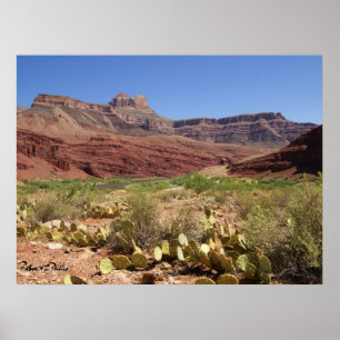 Scenic Colorado River at Grand Canyon Photograph Poster