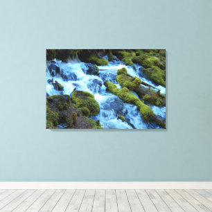 Scenic Forest Waterfall Landscape Canvas Print