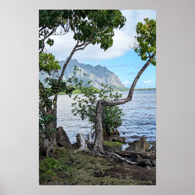 Scenic Hawaiian Coast View Poster (Front)
