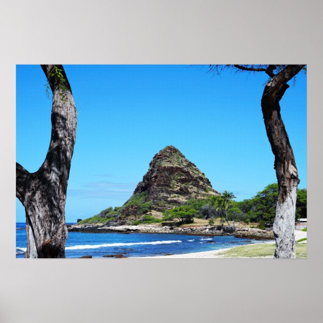 Scenic Hawaiian Coast View Poster (Front)