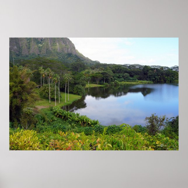 Scenic Hawaiian View Poster (Front)