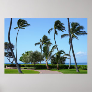 Scenic Hawaiian view Poster