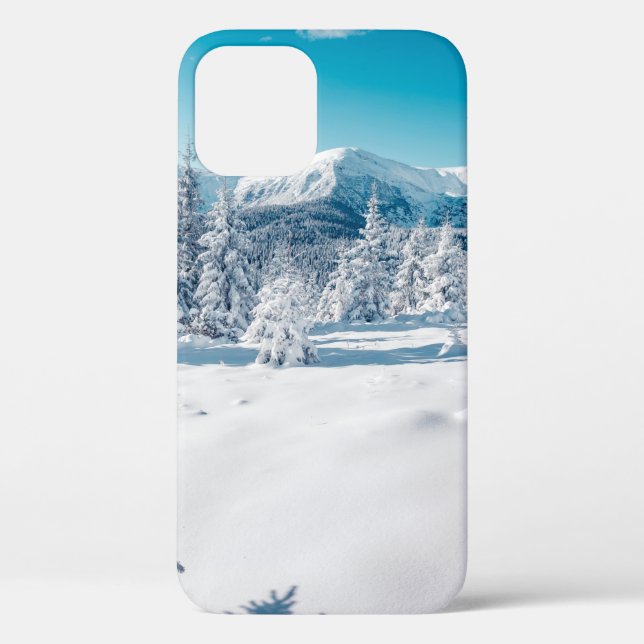 Scenic image of spruces tree. Frosty day, calm win Case-Mate iPhone Case (Back)