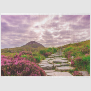 scenic Ireland tissue paper