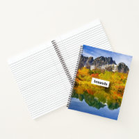 Scenic Landscape Forest and Mountains 