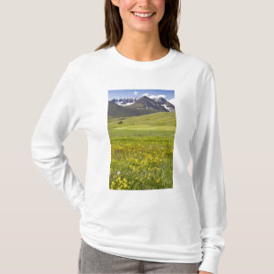 Scenic landscape of Svarfadardalur valley T-Shirt