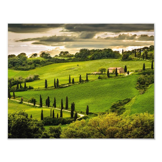 Scenic Landscape Photo Print (Front)