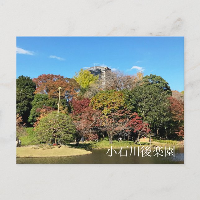 Scenic Landscape with Autumn Colour Postcard (Front)