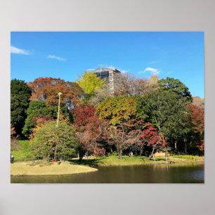 Scenic Landscape with Autumn Colour Poster