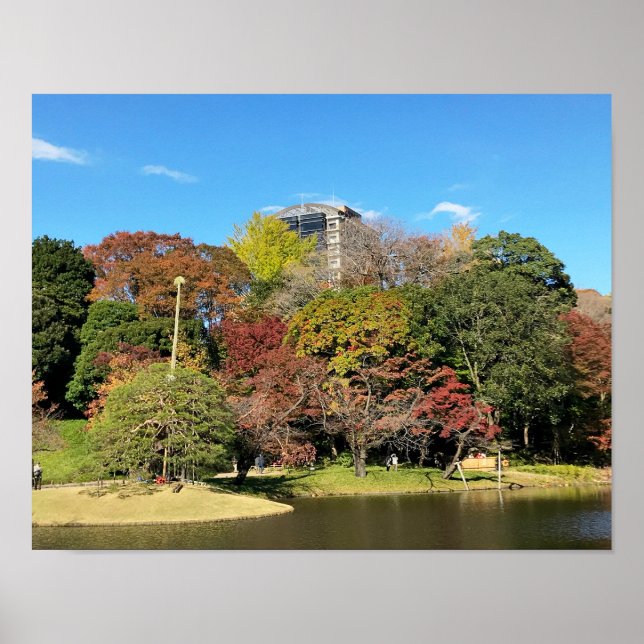 Scenic Landscape with Autumn Colour Poster (Front)