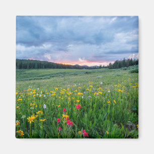 Scenic landscape with colourful wildflowers magnet