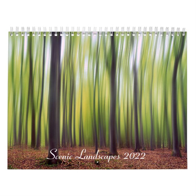 Scenic Landscapes Calendar (Cover)