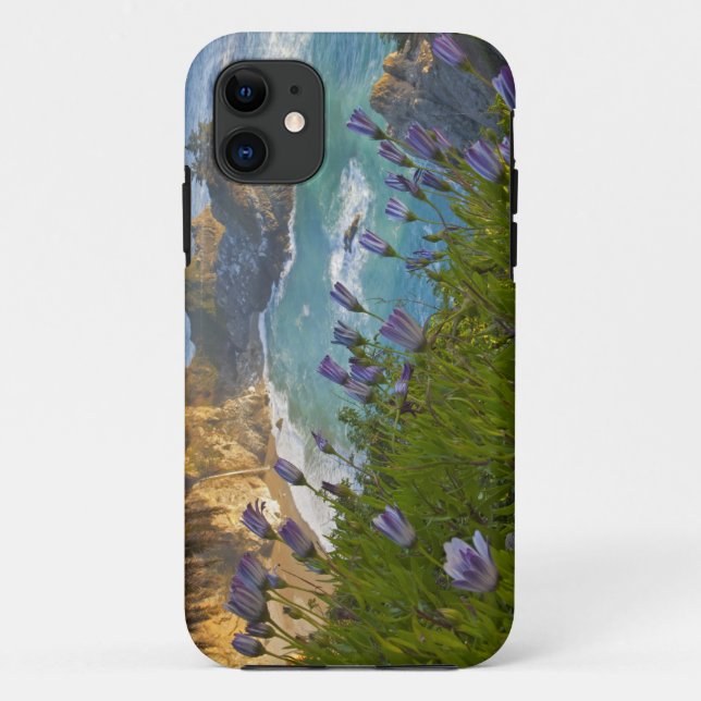 Scenic McWay Falls tumbles into the beach and Case-Mate iPhone Case (Back)