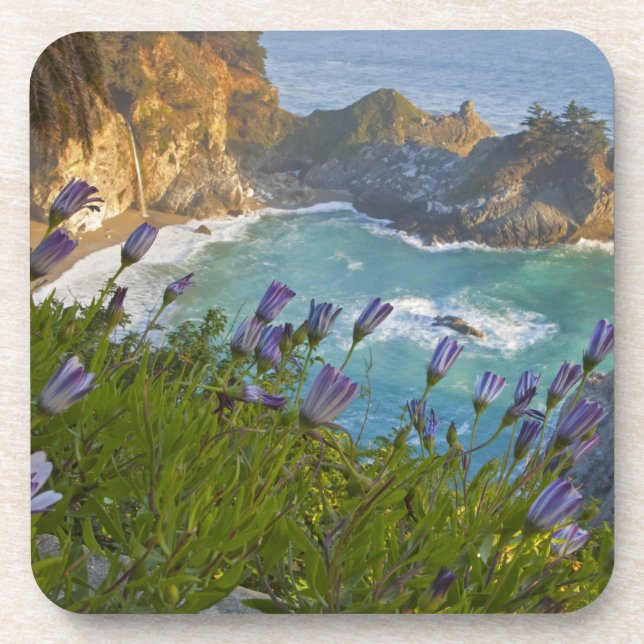 Scenic McWay Falls tumbles into the beach and Coaster (Front)