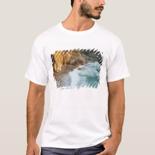 Scenic McWay Falls tumbles into the beach and T-Shirt