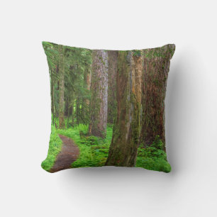 Scenic of old growth forest cushion