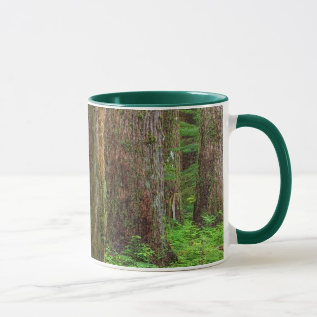 Scenic of old growth forest mug (Right)