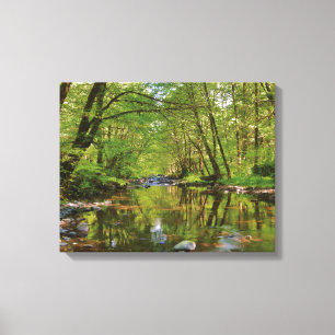 Scenic of Wilson River Canvas Print