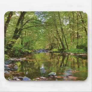 Scenic of Wilson River Mouse Pad