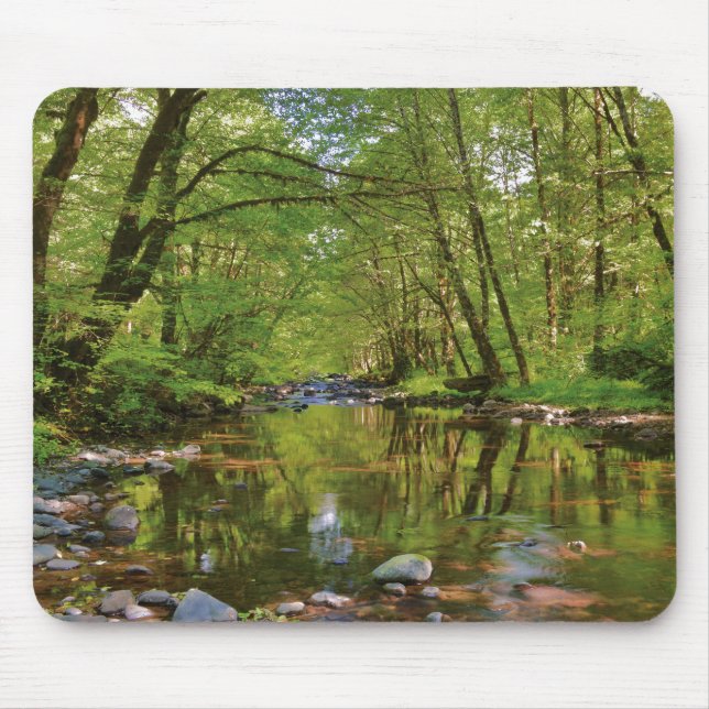 Scenic of Wilson River Mouse Pad (Front)