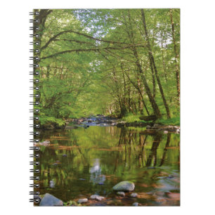 Scenic of Wilson River Notebook