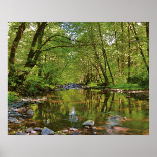 Scenic of Wilson River Poster