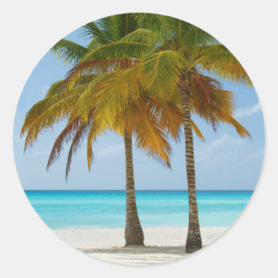 Scenic Palm Trees on a Tropical Beach Classic Round Sticker