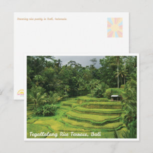Scenic Rice Fields Bali Indonesia Postcard