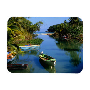 Scenic river near Ocho Rios in Jamaica Magnet