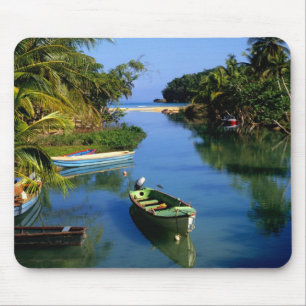 Scenic river near Ocho Rios in Jamaica Mouse Pad