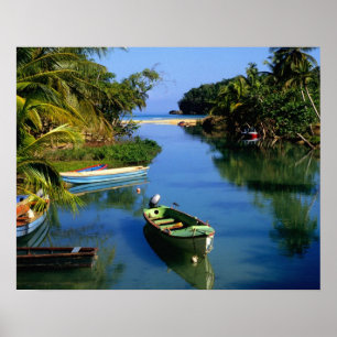 Scenic river near Ocho Rios in Jamaica Poster