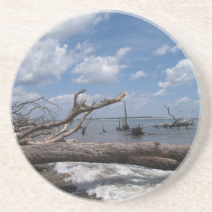 Scenic Series---Driftwood Coaster