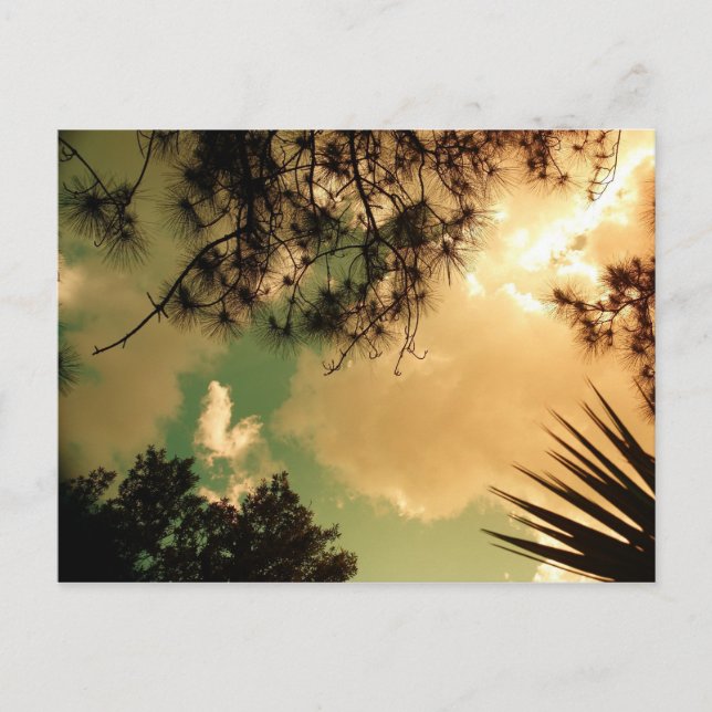 Scenic Sky Postcard (Front)