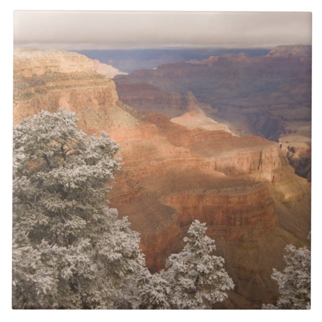 Scenic snowy winter landscape along the south tile (Front)