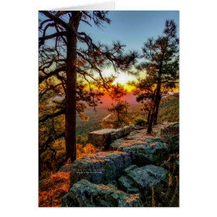 Scenic Sunset View / Pine Trees / Mogollon Rim AZ