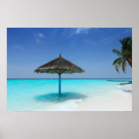 Scenic Tropical Beach with Thatched Umbrella